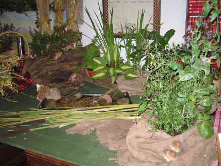 Flower Festival - the rushes by the water